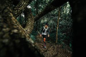 BIB: 
                            <button type="button" onclick="openModal(25666481)" class="btn btn-primary btn-sm float-right btn-popup" data-toggle="modal" data-target=".modal-high-quality">
                        <i class="fas fa-shopping-cart"></i> Add to Cart
                    </button>
                                            <button type="button" onclick="isThisMe(25666481, true)" class="btn btn-success btn-sm float-right btn-popup btn-isme hidden" data-toggle="tooltip" data-placement="bottom" title="นี่คือรูปของคุณใช่ไหม คลิกที่นี่เพื่อเอาเข้าอัลบั้ม">
                        <i class="fas fa-plus"></i> Add to album
                    </button>
                    <button type="button" onclick="isThisMe(25666481, false)" class="btn btn-warning btn-sm float-right btn-popup btn-isnotme hidden">
                        <i class="fas fa-ban"></i> Remove from album
                    </button>